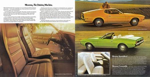 1972 Ford Mustang -02-03.jpg